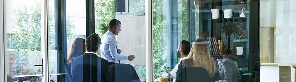 CGI expert presents RCDA agile architecture to group in office