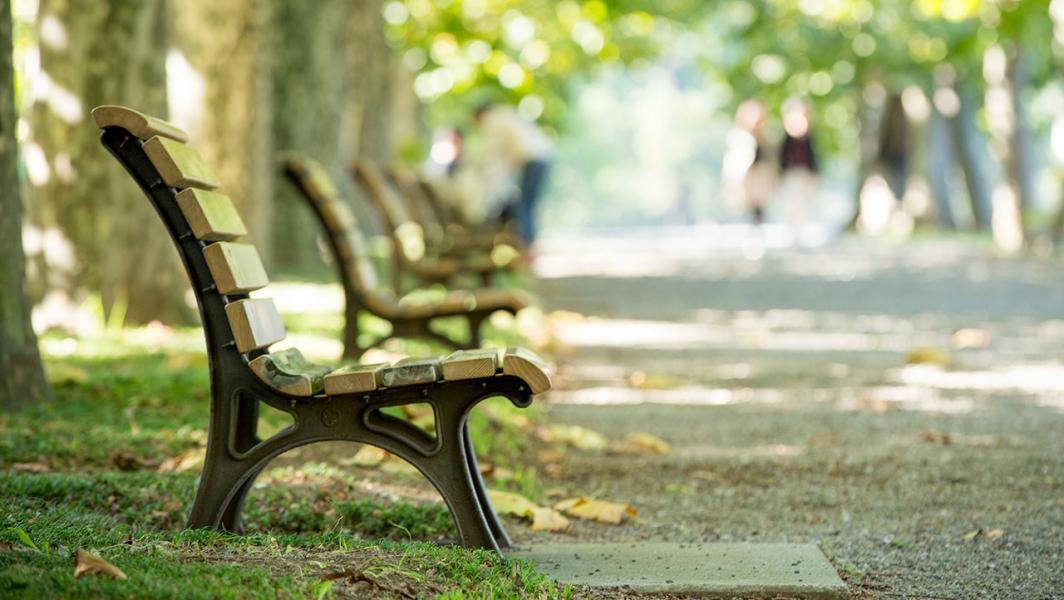 bench in the park bench in the park