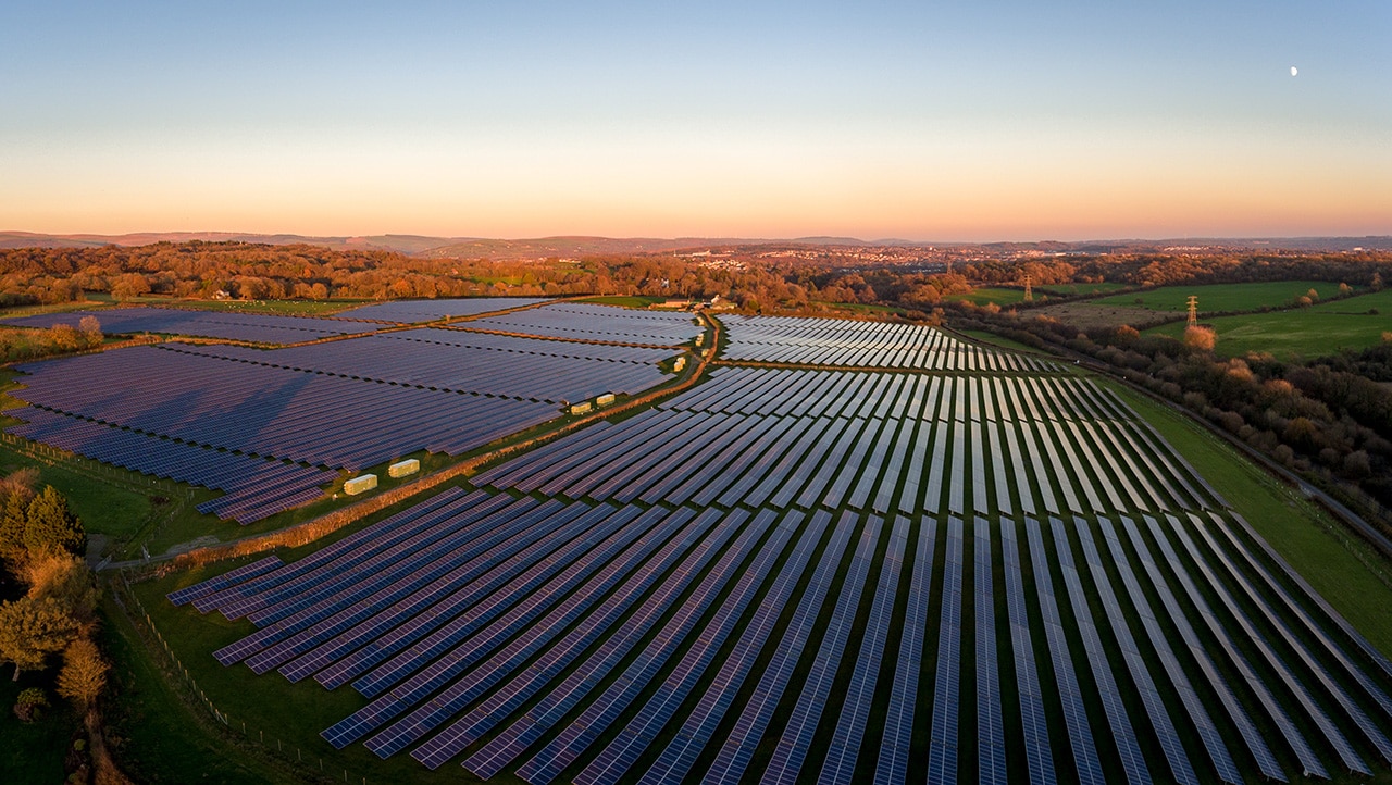 solar farm at sunset