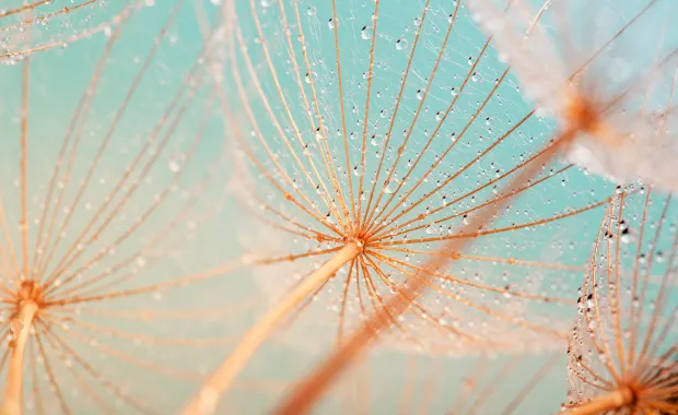 Artificial intelligence (AI) in Canada