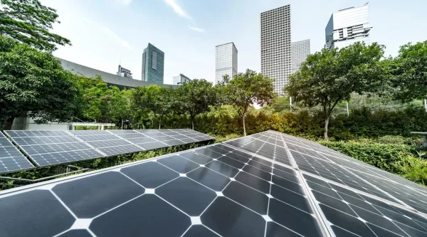 close-up of solar panels with building in the background