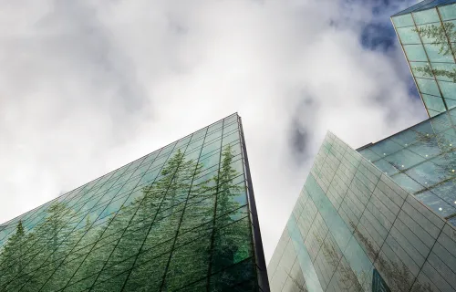 trees reflected in office buildings