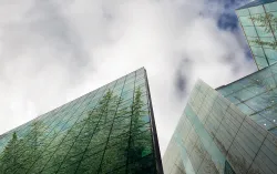 trees reflected in office buildings
