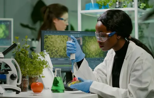 Scientist doing research