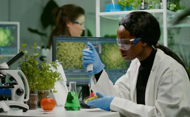 Scientist doing research