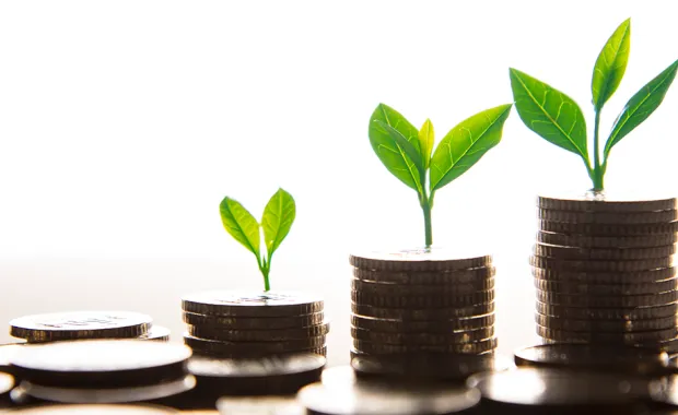 ‘Greenwashing’ is a bad strategy; we need sustainable finance