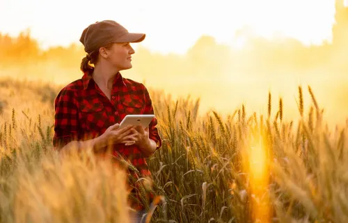 Kuvituskuva: Viljelytoimenpiteitä analysoidaan satelliittikuvien avulla