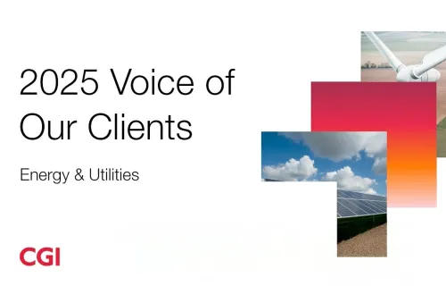 2025 Voice of Our Clients – Energy & utilities